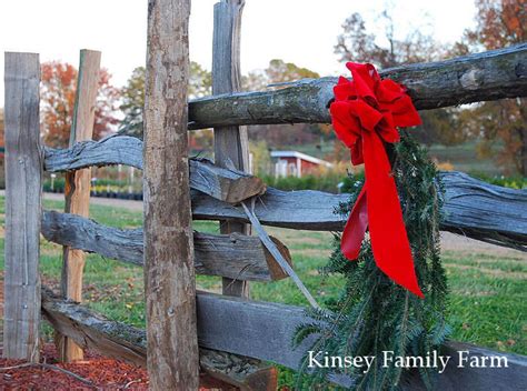 kinsey family farm|kinsey family tree farm.